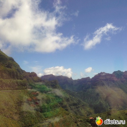 205 ����: ������� ���� 2016