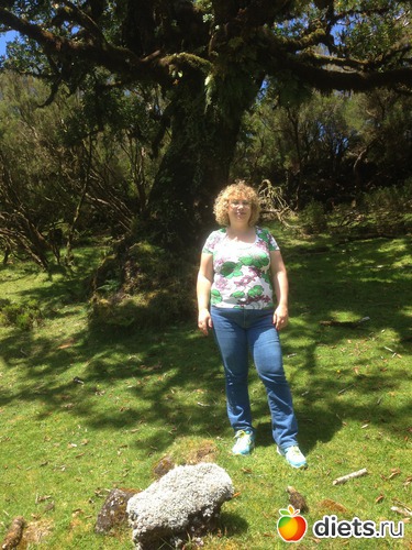 207 ����: ������� ���� 2016