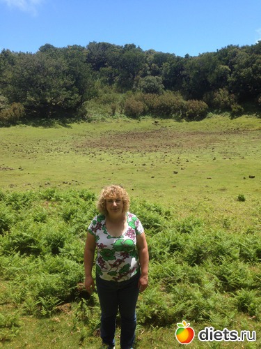 208 ����: ������� ���� 2016