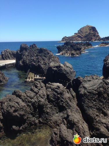 220 ����: ������� ���� 2016