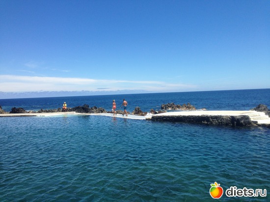 221 ����: ������� ���� 2016