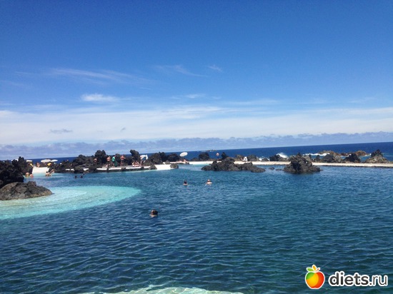 223 ����: ������� ���� 2016