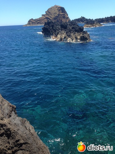 224 ����: ������� ���� 2016