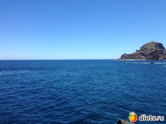 225 ����: ������� ���� 2016