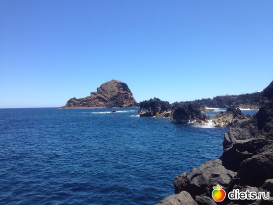 226 ����: ������� ���� 2016