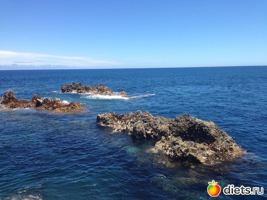 227 ����: ������� ���� 2016