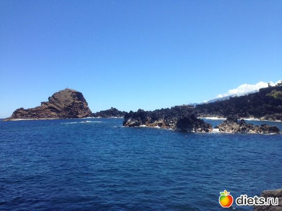 228 ����: ������� ���� 2016