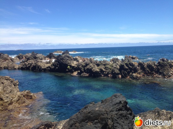 230 ����: ������� ���� 2016