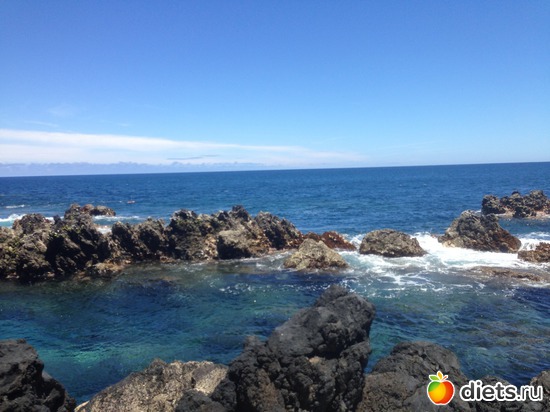 231 ����: ������� ���� 2016