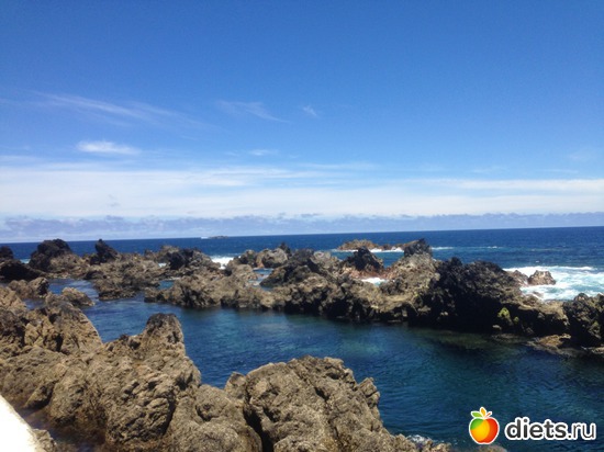 232 ����: ������� ���� 2016