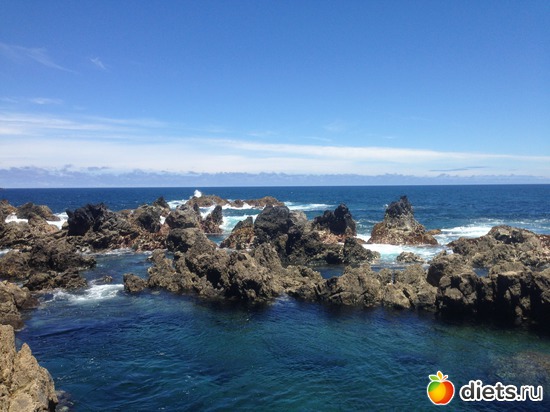 233 ����: ������� ���� 2016