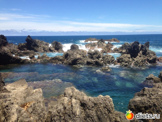 235 ����: ������� ���� 2016