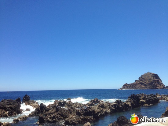 237 ����: ������� ���� 2016