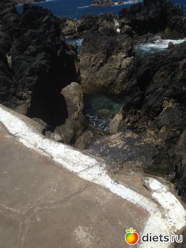 238 ����: ������� ���� 2016