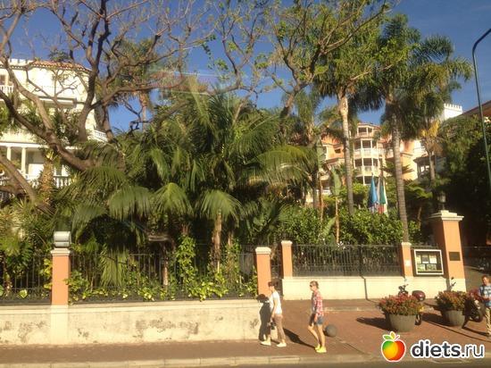 5 ����: ������� ���� 2016