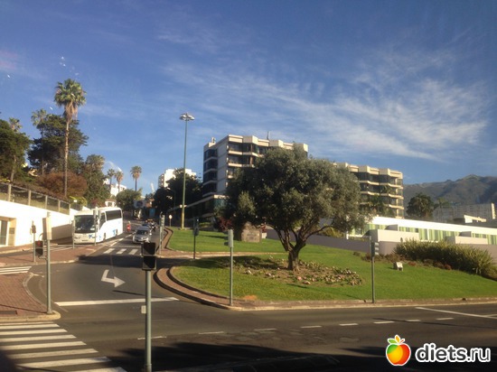 8 ����: ������� ���� 2016