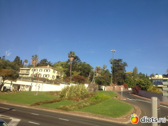 9 ����: ������� ���� 2016