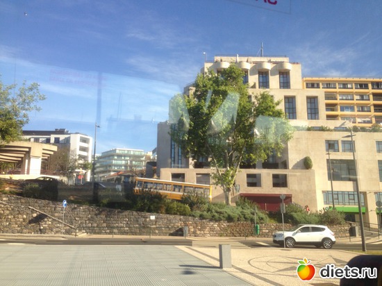 13 ����: ������� ���� 2016