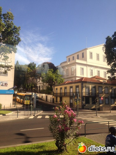 14 ����: ������� ���� 2016