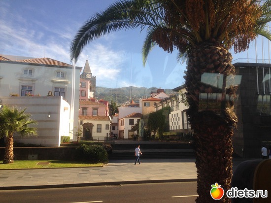 17 ����: ������� ���� 2016