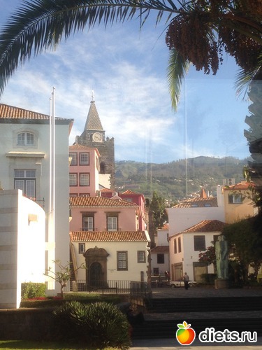 18 ����: ������� ���� 2016