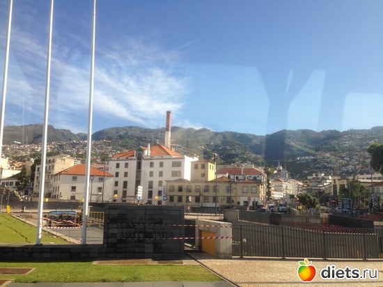 20 ����: ������� ���� 2016