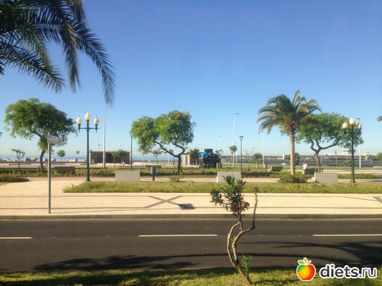 22 ����: ������� ���� 2016