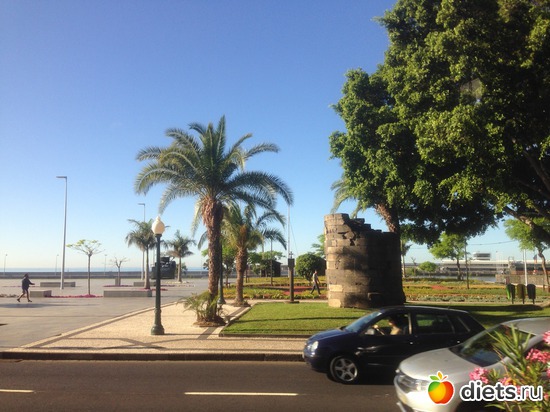 23 ����: ������� ���� 2016