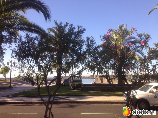 24 ����: ������� ���� 2016