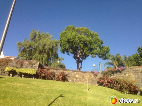 25 ����: ������� ���� 2016