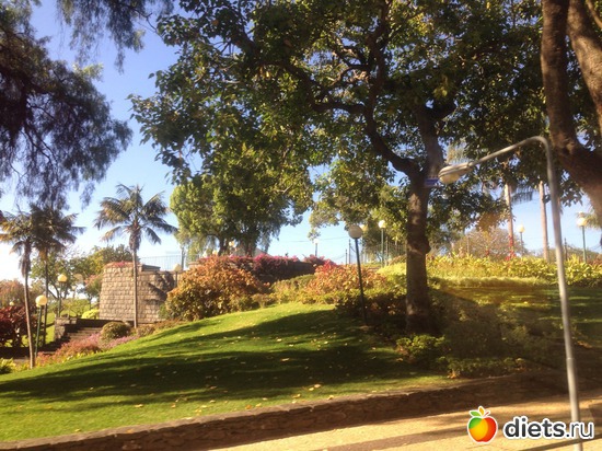 28 ����: ������� ���� 2016