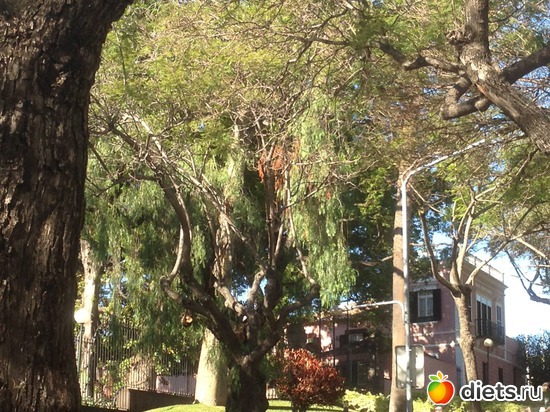 29 ����: ������� ���� 2016