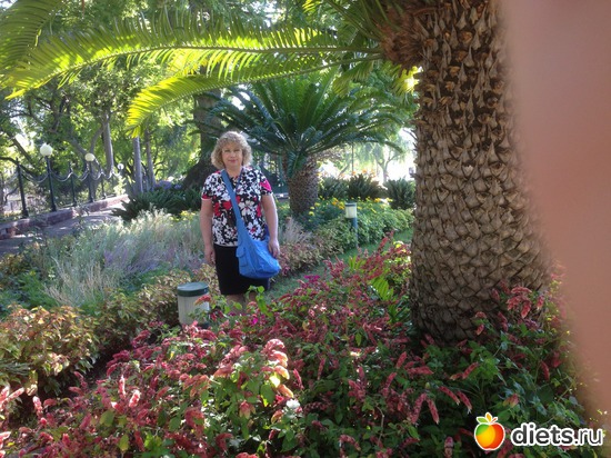 32 ����: ������� ���� 2016