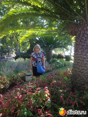 33 ����: ������� ���� 2016