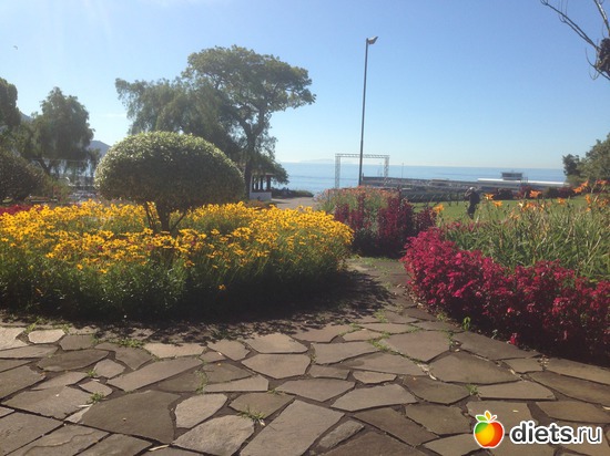 34 ����: ������� ���� 2016