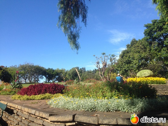 35 ����: ������� ���� 2016