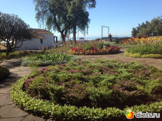 36 ����: ������� ���� 2016