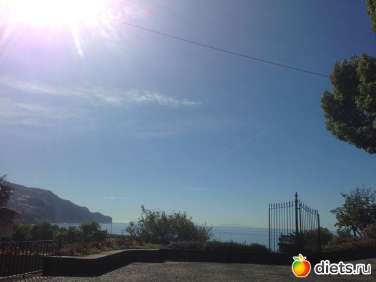 37 ����: ������� ���� 2016