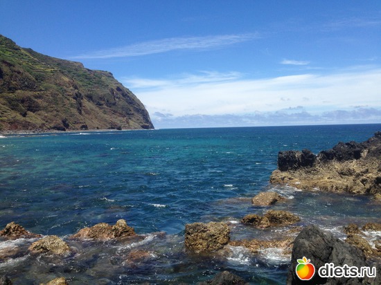 241 ����: ������� ���� 2016