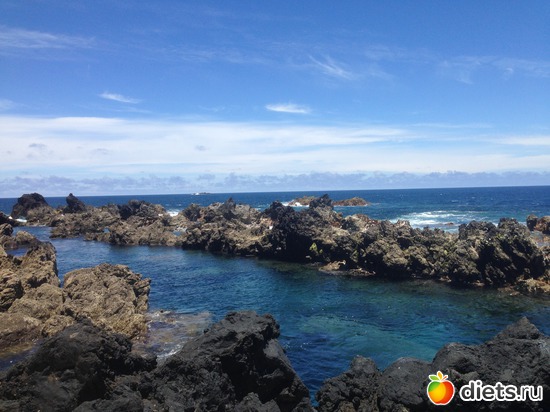 242 ����: ������� ���� 2016