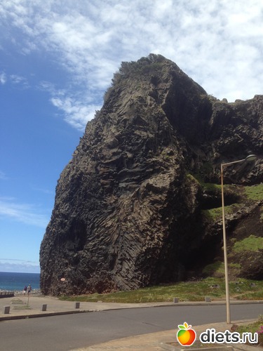 243 ����: ������� ���� 2016