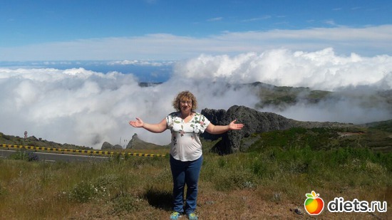 323 ����: ������� ���� 2016