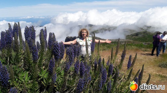 324 ����: ������� ���� 2016