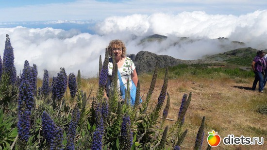 325 ����: ������� ���� 2016