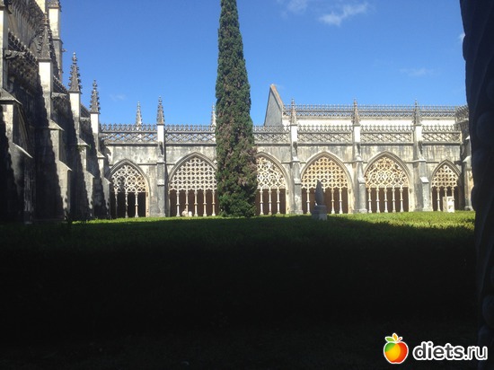 330 ����: ������� ���� 2016