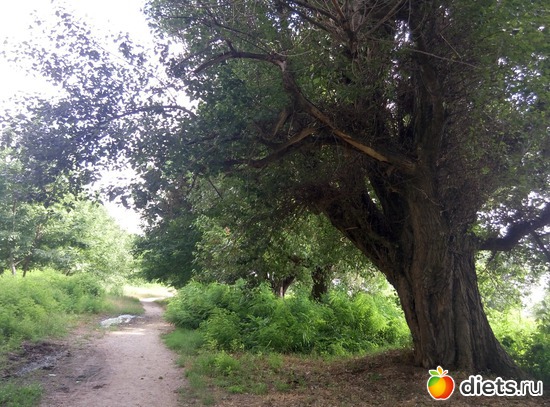 7 ����: �������