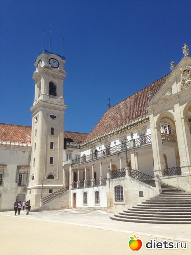 338 ����: ������� ���� 2016