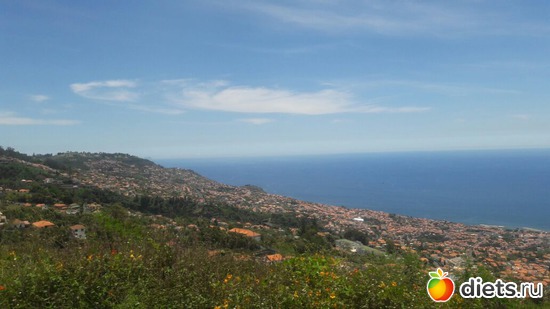 263 ����: ������� ���� 2016