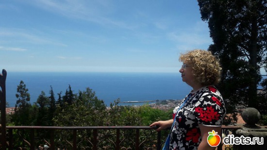 264 ����: ������� ���� 2016