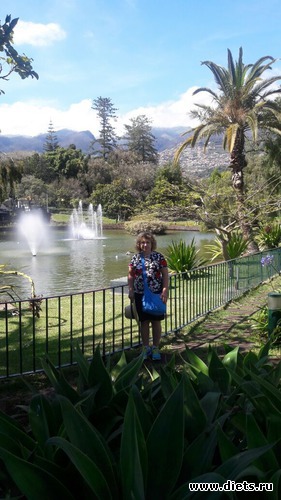 265 ����: ������� ���� 2016